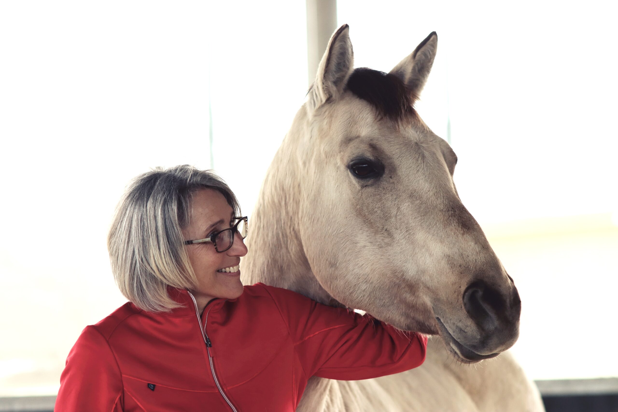 Einzelcoaching mit Pferd