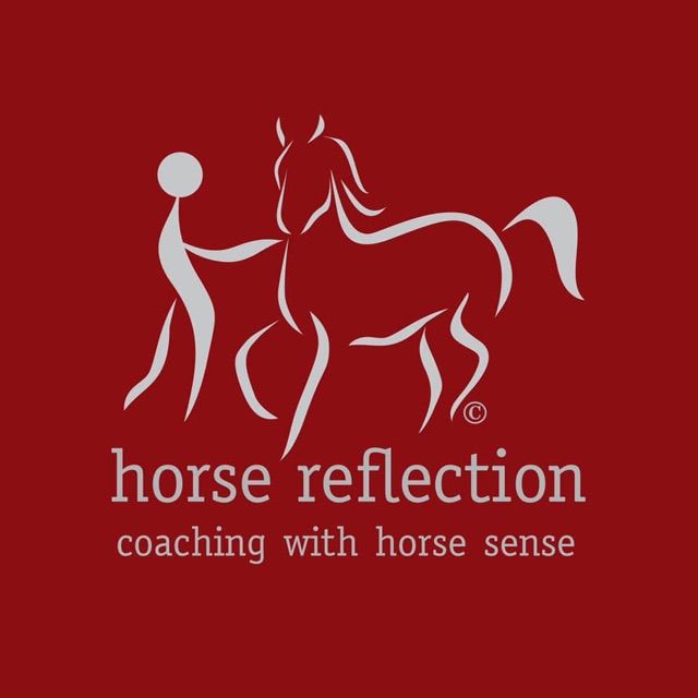 horse reflection